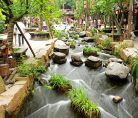 千年水碼頭、古鎮(zhèn)黃龍溪一日游